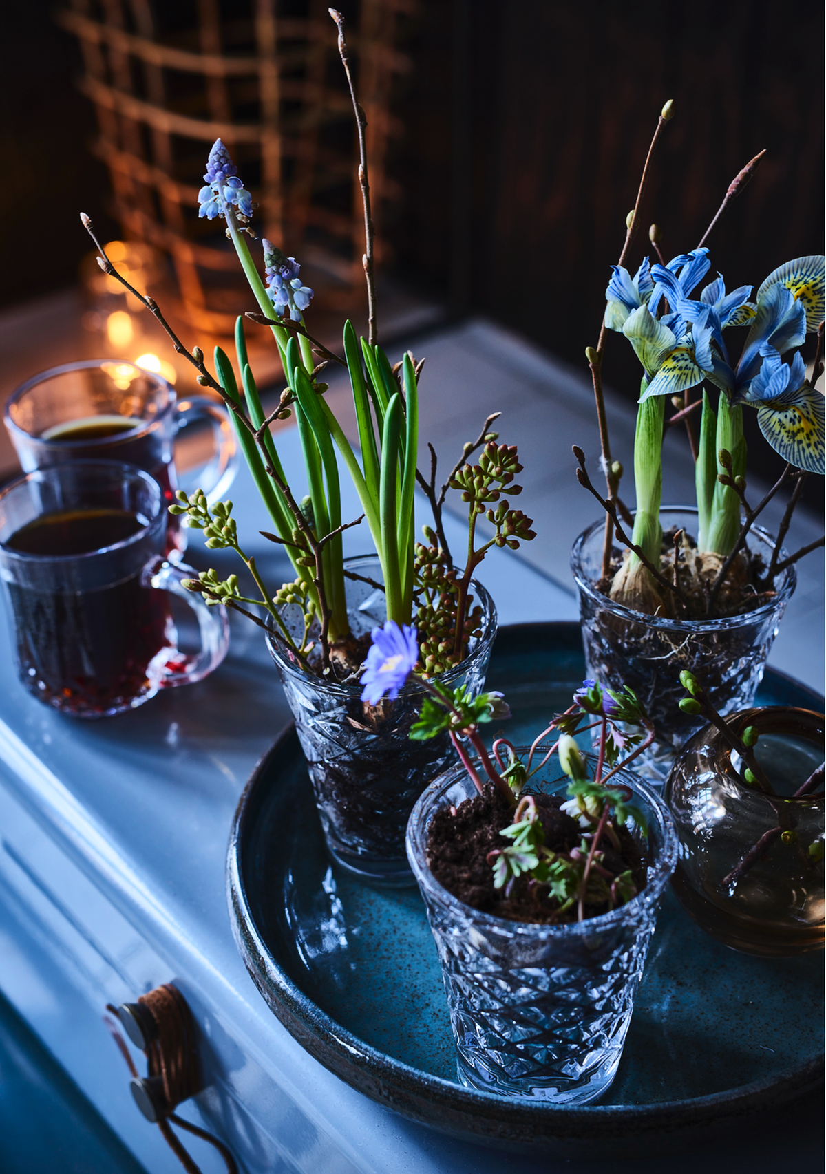 Pernille Albers - Nick Degn Fotografi Isabellas magasin - decorate with flowers and nordic design