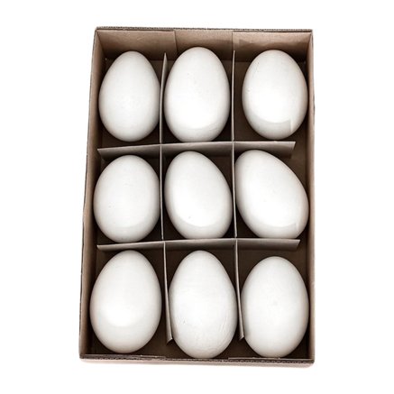 GOOSE EGGS | BLOWN-OUT | 9 PCS