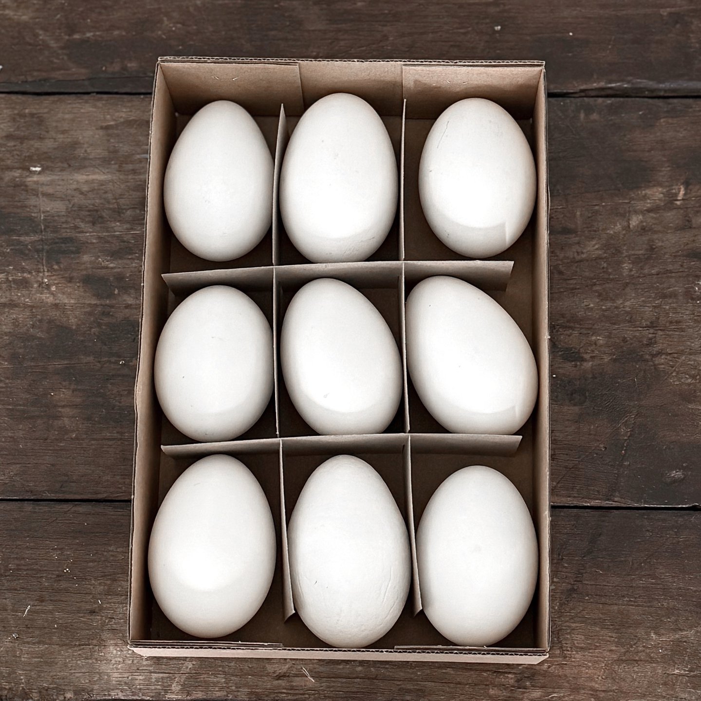 GOOSE EGGS | BLOWN-OUT | 9 PCS | Products | Tine K Home