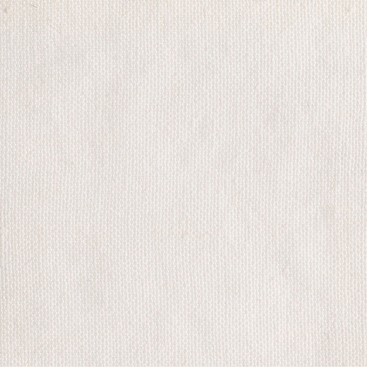 JOPLIN-WHITE.jpg