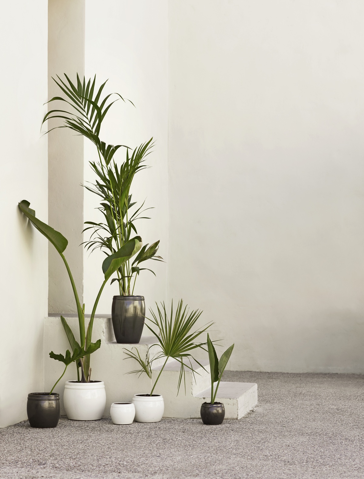 tinekhome glaze pots for spring and garden life - fill up the pots with green trees and beautiful plants