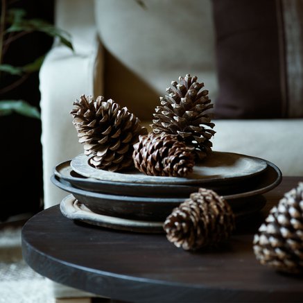 PINECONES | 12-15 CM | 5 PCS