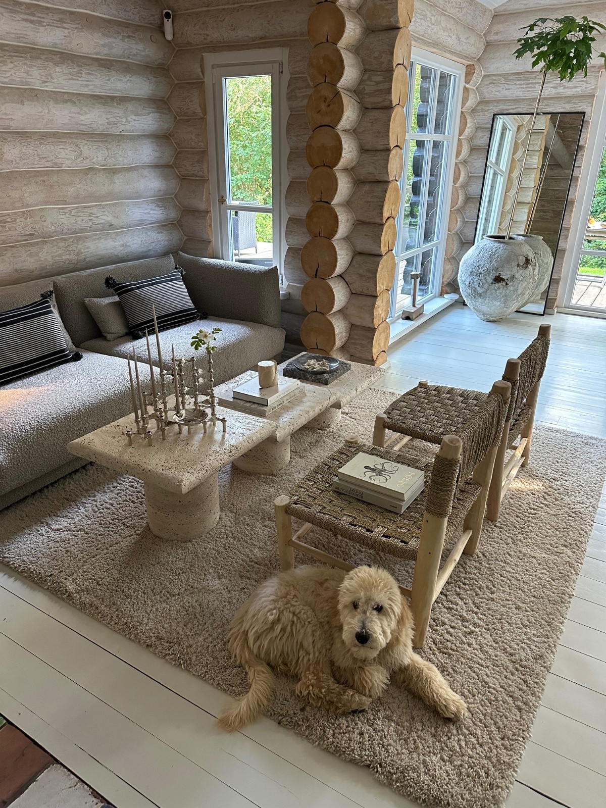 Josephine journal.jpg