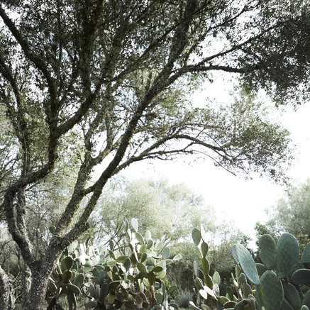 KRUKKE XL | HVID GLASERET | SÆT AF 2