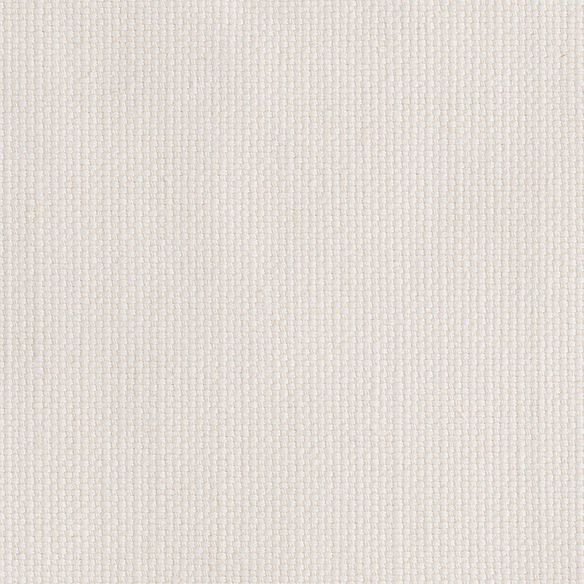 JAZZ-WHITE.jpg