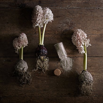 GLITTER | SILVER | 71 GRAM