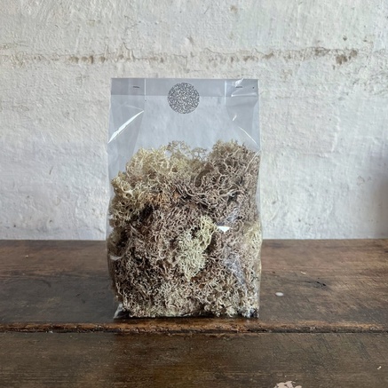 DECORATIVE MOSS | CREAM | APPROX. 120 G