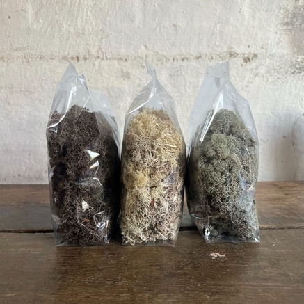 DECORATIVE MOSS | BROWN | APPROX. 120 g