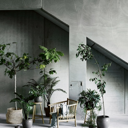 SS15 Deco Kollektion