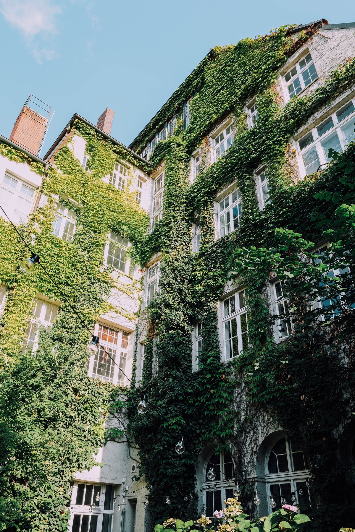 St. Oak Backyard 02.jpg