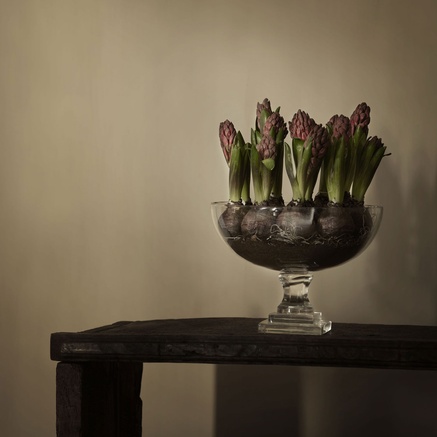 OPSATS | GLAS | H 18 CM