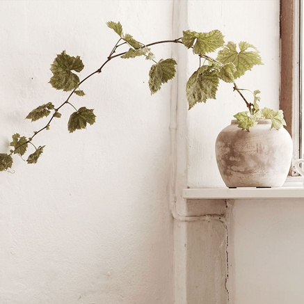 JAR | CLAY | 17 cm