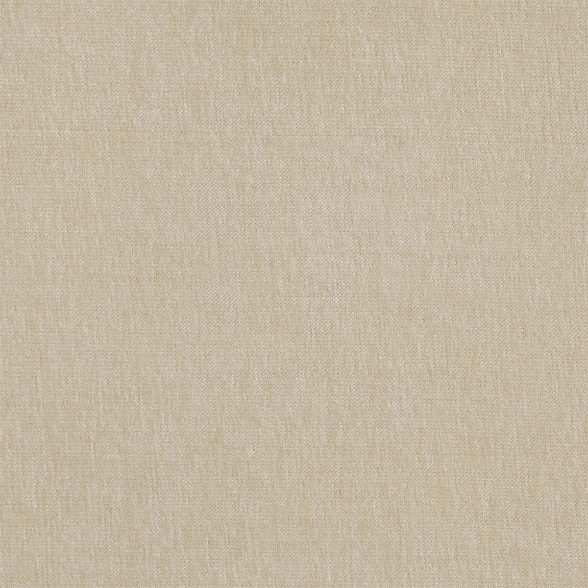 MOSS-SAND.jpg
